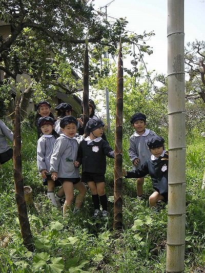 竹を見上げる園児達
