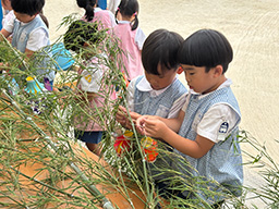 七夕飾りの様子