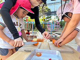 カレー作りの様子